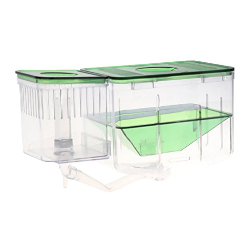 Tubayia Aquarium Fisch Züchter Box Zuchttank Zuchtbox Ablaichkasten Isolation Box für Aquarien Fisch Tank Tubayia Aquarium Fisch Züchter Box Zuchttank Zuchtbox Ablaichkasten Isolation Box für Aquarien Fisch Tank von Tubayia