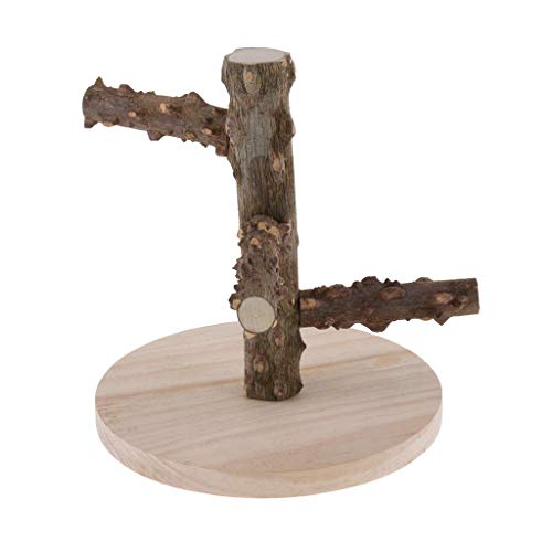 Tubayia Holz Vogelstange Sitzstange Vogel Spielzeug Spielplatz für Vögel Papagei Wellensittiche Nymphensittich Tubayia Holz Vogelstange Sitzstange Vogel Spielzeug Spielplatz für Vögel Papagei Wellensittiche Nymphensittich von Tubayia