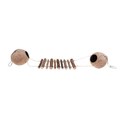 Tubayia Kokosnuss Vogelhaus mit Leiter Spielzeug für Vogel Papagei Kleintier Hamster Rennmäuse Tubayia Kokosnuss Vogelhaus mit Leiter Spielzeug für Vogel Papagei Kleintier Hamster Rennmäuse von Tubayia