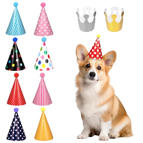 11 Stück Partyhüte für Hunde Geburtstag - Mehrfarbige Hunde Geburtstag Deko, Niedliche Katzen Hundegeburtstag Hüte mit Bommeln für Welpen, Kätzchen und Kleintiere, Verstellbare Mini-Partyhüte von Tucnoeu