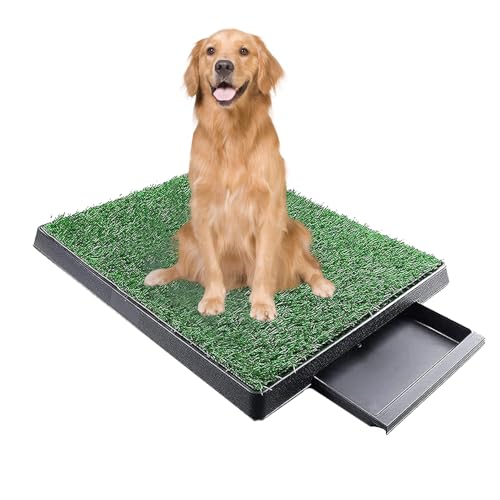Hundegrasunterlage mit Tablett, Gras-Pad, Kunstrasen für Hunde zum Pinkeln, Trainingsmatte, Hundetoilette mit Gras, für den Innenbereich, für kleine und mittelgroße Hunde Hundegrasunterlage mit Tablett, Gras-Pad, Kunstrasen für Hunde zum Pinkeln, Trainingsmatte, Hundetoilette mit Gras, für den Innenbereich, für kleine und mittelgroße Hunde von Tudegy