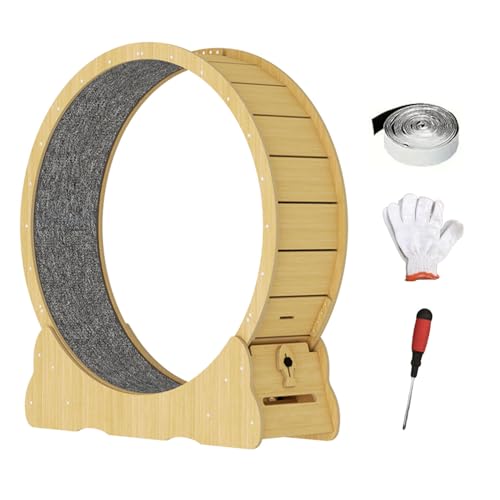 Katzenlaufrad,100cm Laufrad für Katzen,Großes Laufrad,Ultraleises Sicherheits-Trainingsspielzeug,Indoor -Sportspielzeuge und -Ausrüstung Katzenlaufrad,100cm Laufrad für Katzen,Großes Laufrad,Ultraleises Sicherheits-Trainingsspielzeug,Indoor -Sportspielzeuge und -Ausrüstung von Tudegy