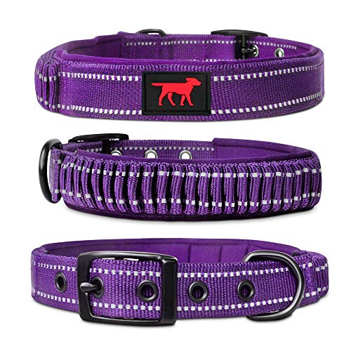 Tuff Pupper Robustes Hundehalsband mit Griff | Halsband aus ballistischem Nylon | Gepolstertes, reflektierendes Hundehalsband mit verstellbaren Edelstahlbeschlägen | Praktische Größe für alle Rassen Tuff Pupper Robustes Hundehalsband mit Griff | Halsband aus ballistischem Nylon | Gepolstertes, reflektierendes Hundehalsband mit verstellbaren Edelstahlbeschlägen | Praktische Größe für alle Rassen von Tuff Pupper