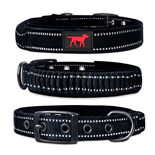 Tuff Pupper Robustes Hundehalsband mit Griff | Halsband aus ballistischem Nylon | Gepolstertes, reflektierendes Hundehalsband mit verstellbaren Edelstahlbeschlägen | Praktische Größe für alle Rassen Tuff Pupper Robustes Hundehalsband mit Griff | Halsband aus ballistischem Nylon | Gepolstertes, reflektierendes Hundehalsband mit verstellbaren Edelstahlbeschlägen | Praktische Größe für alle Rassen von Tuff Pupper