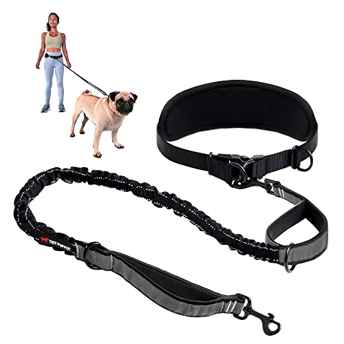 Tuff Pupper Strapazierfähige Hundeleine, freihändig, für einen kleinen/mittleren Hund bis zu 20,4 kg, komfortables, stoßdämpfendes Bungee, reflektierende gepolsterte Griffe, Tuff Pupper Strapazierfähige Hundeleine, freihändig, für einen kleinen/mittleren Hund bis zu 20,4 kg, komfortables, stoßdämpfendes Bungee, reflektierende gepolsterte Griffe, von Tuff Pupper