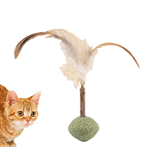 Tumotsit Katzenminze-Spielzeug für Indoor-Katzen, niedliche Form, interaktives Katzenspielzeug für Hauskatzen, Zahnreinigung, Backenzahnwerkzeug, Kätzchenspielzeug Tumotsit Katzenminze-Spielzeug für Indoor-Katzen, niedliche Form, interaktives Katzenspielzeug für Hauskatzen, Zahnreinigung, Backenzahnwerkzeug, Kätzchenspielzeug von Tumotsit