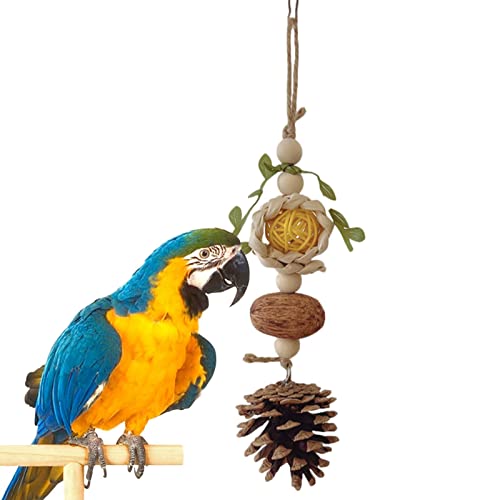 Natural Cornbraid Pine Cone Ball Bites Skewers Bird Toy | Vogelkauspielzeug für Conure Eclectus Budgies Parakeet Cockatiel Aras von Tumotsit