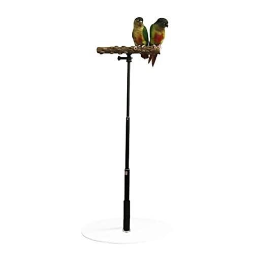 Vogelstangen-Ständerplattform, 37-Zoll-Verstellbarer Papageien-Trainings-Sitzständer, natürlicher Baumzweig aus Holz, Papageien-Spiel-T-Ständer, Abnehmbarer Innen-Vogelkäfig-Ständer für Sittiche von Tumotsit