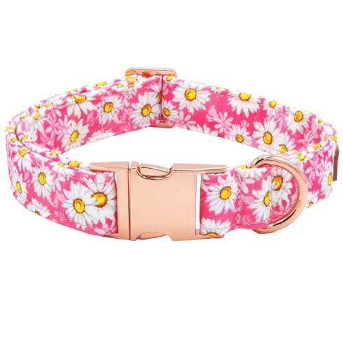 Tunkoo Hundehalsband, Gänseblümchen mit rotgoldener Metallschnalle, weiche Baumwolle, Blumendesign, Premium-Stil für Frühling und Sommer, kleine, mittelgroße und große Hunde, Größe S Tunkoo Hundehalsband, Gänseblümchen mit rotgoldener Metallschnalle, weiche Baumwolle, Blumendesign, Premium-Stil für Frühling und Sommer, kleine, mittelgroße und große Hunde, Größe S von Tunkoo