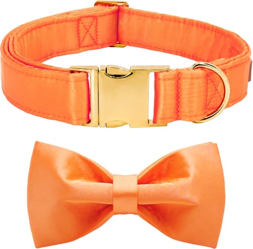 Tunkoo Hundehalsband aus Seide für Herbst – Halloween und Thanksgiving, modische Schleife und goldfarbene Schnalle, ideales Geschenk für den Außenbereich, für kleine, mittelgroße und große Hunde Tunkoo Hundehalsband aus Seide für Herbst – Halloween und Thanksgiving, modische Schleife und goldfarbene Schnalle, ideales Geschenk für den Außenbereich, für kleine, mittelgroße und große Hunde von Tunkoo