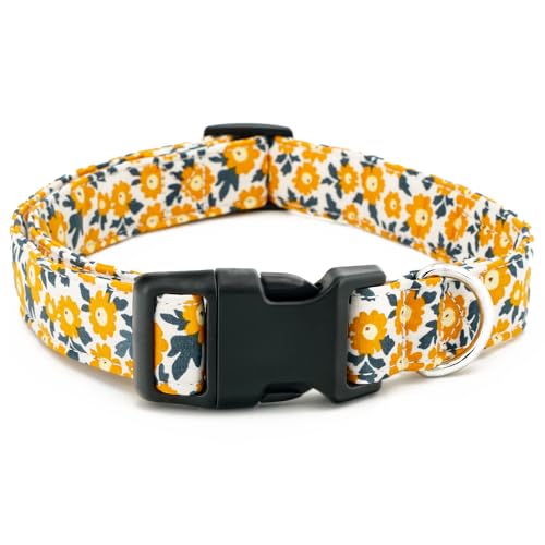 Tunkoo Hundehalsband mit Blume, niedlich, verstellbar, gelb, für LGBT Pride Monat, Hundehalsband mit starker Kunststoffschnalle – für kleine, mittelgroße und große Haustiere, L Tunkoo Hundehalsband mit Blume, niedlich, verstellbar, gelb, für LGBT Pride Monat, Hundehalsband mit starker Kunststoffschnalle – für kleine, mittelgroße und große Haustiere, L von Tunkoo