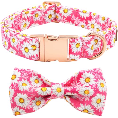 Tunkoo Hundehalsband mit niedlicher Blumen-Fliege, verstellbares Halsband aus Premium-Baumwolle, langlebige Metallschnalle für kleine, mittelgroße und große Jungen, Mädchen, Hunde, Größe L von Tunkoo