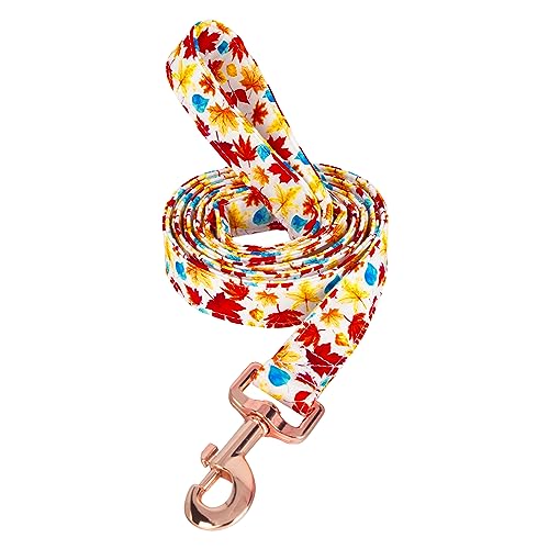 Tunkoo Hundeleine mit Herbstanhänger, Metallschnalle, langlebig, stilvoll und perfekte Größe für den Herbst, tägliches Spazierengehen, Größe M von Tunkoo