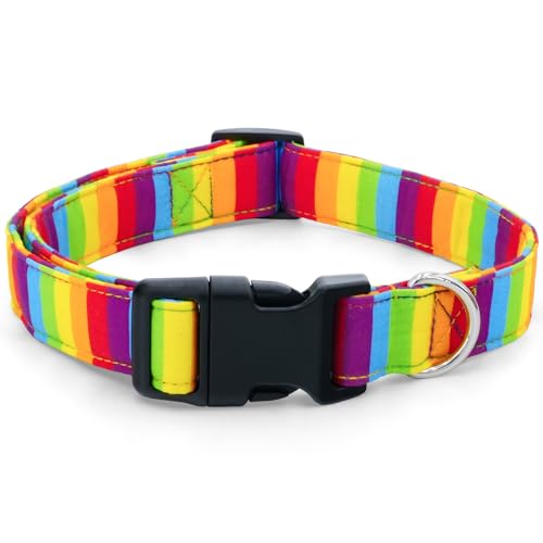 Tunkoo Regenbogen-Hundehalsband, niedliches verstellbares gelbes Halsband für LGBT Pride Monat, Hundehalsband mit starker Kunststoffschnalle – für kleine, mittelgroße und große Haustiere, M von Tunkoo