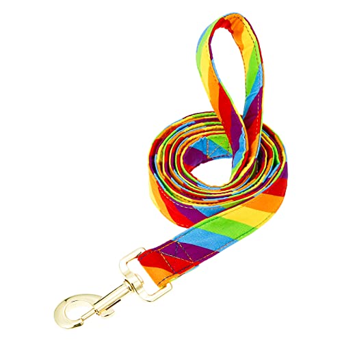 Tunkoo Regenbogen-Hundeleine, LGBT-Flagge, stilvoll, sicher, bequem für kleine, mittelgroße und große Hunde, Haustiere, tägliches Spazierengehen, S von Tunkoo