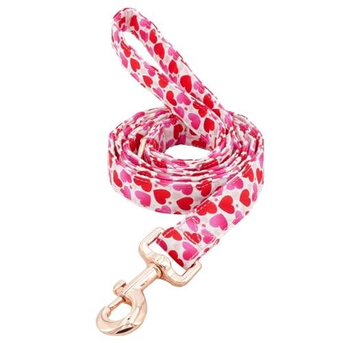 Tunkoo Valentinstags-Hundeleine mit Metallschnalle, langlebig, stilvoll und perfekte Größe für den Herbst, tägliches Spazierengehen, Größe L von Tunkoo