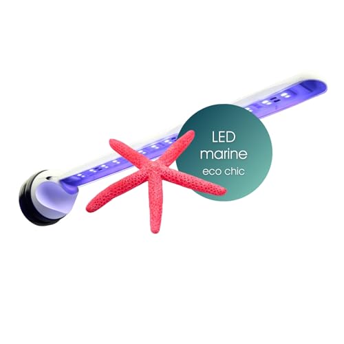 Tunze LED ECO CHIC 8811 8811.000 Marine 1 Stück (1er Pack) von Tunze