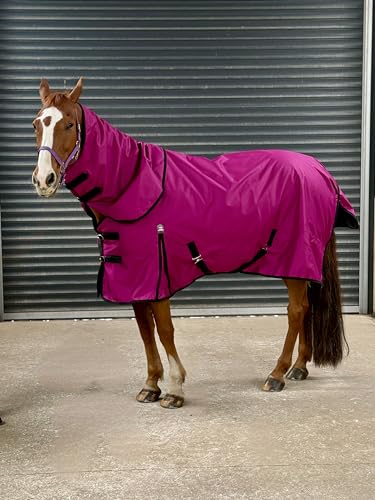 Turner Equestrian Pferdedecke, 600D, leicht, wasserdicht, tiefe Himbeere, 100 g Füllung, 1,8 m mit abnehmbarem Hals, Himbeerfarben Turner Equestrian Pferdedecke, 600D, leicht, wasserdicht, tiefe Himbeere, 100 g Füllung, 1,8 m mit abnehmbarem Hals, Himbeerfarben von Turner Equestrian