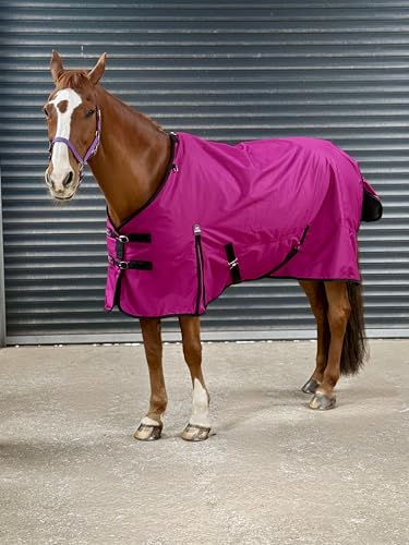Turner Equestrian Pferdedecke, 600D, leicht, wasserdicht, tiefe Himbeere, 100 g Füllung, 2,1 m Standard Turner Equestrian Pferdedecke, 600D, leicht, wasserdicht, tiefe Himbeere, 100 g Füllung, 2,1 m Standard von Turner Equestrian