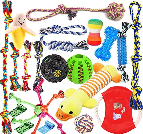 Hundewelpen-Spielzeug, hochwertiges Kauspielzeug für mittelgroße bis kleine Hunde, mit interaktivem Hundespielzeug, IQ Leckerli-Bälle, Ball, Zerrspielzeug für Spaß und Zahnreinigung (20 Stück) von Tutengelctri
