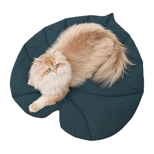 Haustier Bodenmatte | 3D-Hundedecke In Blattform | Haustierdecke | Blatt-Haustiermatte Für Hund, Katze, Bodenmatte, Abdeckpolster, Welpendecke Für Couchschutz, Weiche Überwurfunterlage Für Auto Haustier Bodenmatte | 3D-Hundedecke In Blattform | Haustierdecke | Blatt-Haustiermatte Für Hund, Katze, Bodenmatte, Abdeckpolster, Welpendecke Für Couchschutz, Weiche Überwurfunterlage Für Auto von Tuxuseo