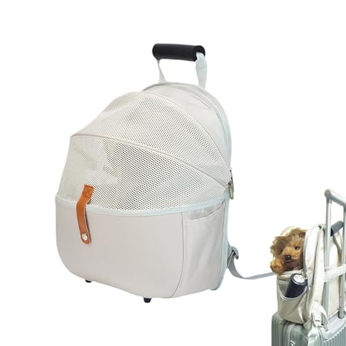 Tuxuseo Katzen Transportbox - Welpentrage Für Kleine Hunde | Weiche Polsterung Tragetasche für Tierarztbesuche Kurztrips Spaziergänge Reisen Wandern Outdoor Tuxuseo Katzen Transportbox - Welpentrage Für Kleine Hunde | Weiche Polsterung Tragetasche für Tierarztbesuche Kurztrips Spaziergänge Reisen Wandern Outdoor von Tuxuseo