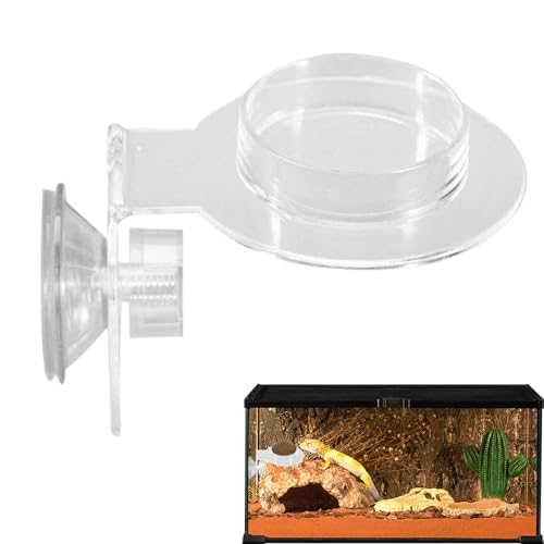 Tuxuseo Reptile Feeding Bowl,Klettersicherer Acryl-Wassernapf Für Haustiere - Glatte Oberfläche Praktischer Futterspender Für Echsen Spinnen Zuhause Freunde Studentenzimmer Tuxuseo Reptile Feeding Bowl,Klettersicherer Acryl-Wassernapf Für Haustiere - Glatte Oberfläche Praktischer Futterspender Für Echsen Spinnen Zuhause Freunde Studentenzimmer von Tuxuseo