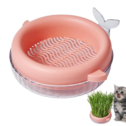 Tuxxjzm Katzengras-Topf | Hydroponischer Pflanzkasten für Katzengras | Bodenfreier Behälter, interaktives Katzenspielzeug, Sprossenschale für erdlose Kultur Tuxxjzm Katzengras-Topf | Hydroponischer Pflanzkasten für Katzengras | Bodenfreier Behälter, interaktives Katzenspielzeug, Sprossenschale für erdlose Kultur von Tuxxjzm