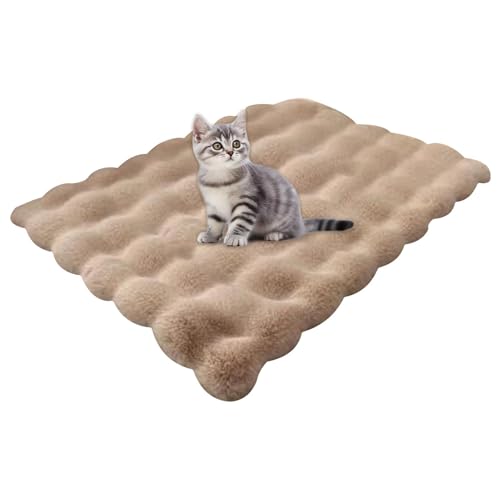 Tuxxjzm Katzenmatte Bett | Kistenunterlage Kätzchenbett Matte | Hundehütte Pad, Katze Wärmematte, Hundebett Matte Anti-Rutsch Waschbar Katzenbett für Indoor Katzen Kleine Hunde Haustierbedarf Tuxxjzm Katzenmatte Bett | Kistenunterlage Kätzchenbett Matte | Hundehütte Pad, Katze Wärmematte, Hundebett Matte Anti-Rutsch Waschbar Katzenbett für Indoor Katzen Kleine Hunde Haustierbedarf von Tuxxjzm