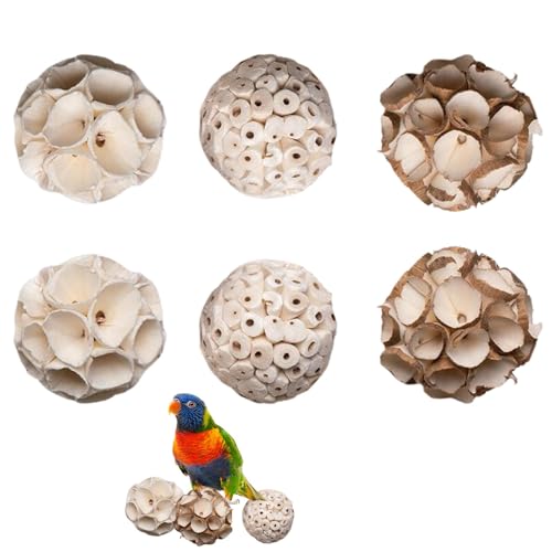 Tuxxjzm Spielzeug zum Zerkleinern von Vögeln, Spielzeug zum Zerkleinern von Papageien, 6 Stück Spatz-Kauspielzeugbälle, Vogelspielzeug, Kaubälle, Spielzeug für Vögel, Hamster, Rennmäuse, Kaninchen und Tuxxjzm Spielzeug zum Zerkleinern von Vögeln, Spielzeug zum Zerkleinern von Papageien, 6 Stück Spatz-Kauspielzeugbälle, Vogelspielzeug, Kaubälle, Spielzeug für Vögel, Hamster, Rennmäuse, Kaninchen und von Tuxxjzm