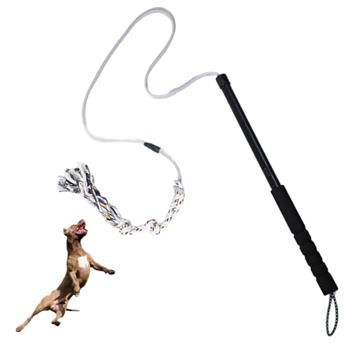 Flirtstange für Hunde, interaktives Hundespielzeug, langlebig, strapazierfähig, geeignet für kleine und mittelgroße Hunde, tolles Übungs- und Trainingswerkzeug, multifunktionales Hundespielzeug von TwinkleTool