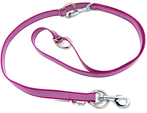 Individuell verstellbare Hunde Leine gummiert Breite 20mm Länge 2 Meter Doppelleine Pink Made in Germany Individuell verstellbare Hunde Leine gummiert Breite 20mm Länge 2 Meter Doppelleine Pink Made in Germany von Twinkys
