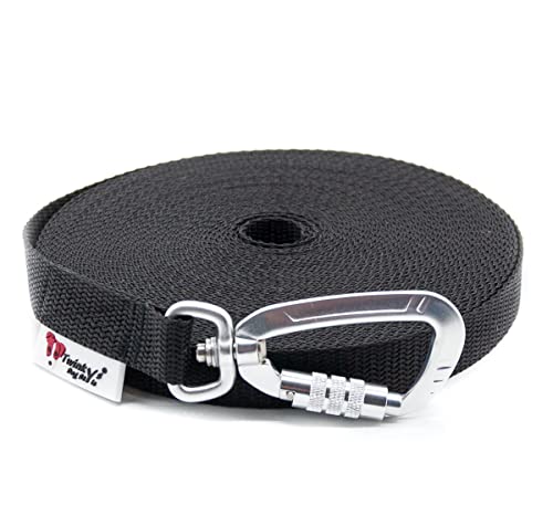 Twinkys Dog Style Hundeleine Schleppleine MIT Handschlaufe mit Sicherheitskarabiner 20 mm breit für Hunde bis 50 kg 10 Meter, Schwarz Made IN Germany Twinkys Dog Style Hundeleine Schleppleine MIT Handschlaufe mit Sicherheitskarabiner 20 mm breit für Hunde bis 50 kg 10 Meter, Schwarz Made IN Germany von Twinkys