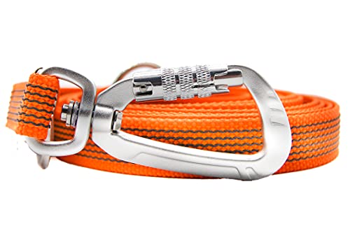 Twinkys Dog Style Verstellbare Hundeleine 20 mm breit gummiert mit Sicherheitskarabiner 3 Meter Orange von Twinkys