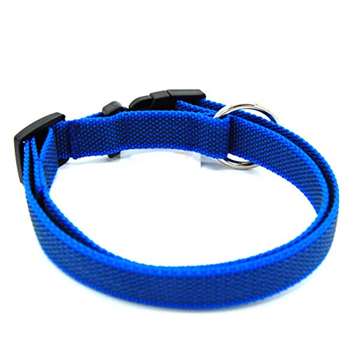 Twinkys Gummiertes Hunde Halsband M-L 32 cm - 60 cm Blau Made IN Germany von Twinkys