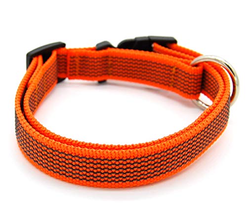 Twinkys Gummiertes Hunde Halsband M-L 32 cm - 60 cm Orange Made IN Germany von Twinkys