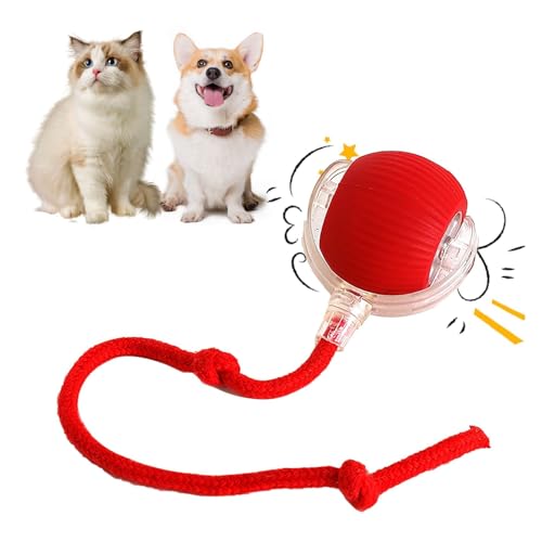Katzenball Spielzeug, Interaktives Katzenspielzeug, USB Wiederaufladbare Smart Ball Geschenke für Katzen, Bestes Katzenspiel Spielzeug für Katzen Indoor Katzen, Automatisch Bewegende Katze Katzenball Spielzeug, Interaktives Katzenspielzeug, USB Wiederaufladbare Smart Ball Geschenke für Katzen, Bestes Katzenspiel Spielzeug für Katzen Indoor Katzen, Automatisch Bewegende Katze von Twinsun