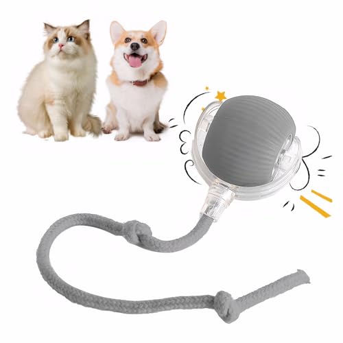 Twinsun Chewie Viraler Rollball, interaktiver Hundeball, Chewie-Ball für Katzen und Hunde, Chewie-Hundeball, 360° intelligent, automatisches Rollen, große kleine Katzen und Hunde, Haustierball (grau) Twinsun Chewie Viraler Rollball, interaktiver Hundeball, Chewie-Ball für Katzen und Hunde, Chewie-Hundeball, 360° intelligent, automatisches Rollen, große kleine Katzen und Hunde, Haustierball (grau) von Twinsun