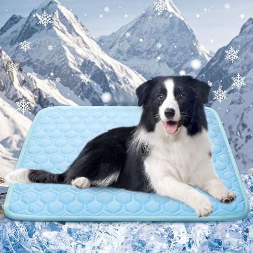 Twinsun Kühlmatte für Hunde,Kühldecke Hund, Hundekühlmatte für Hund & Katze Selbstkühlende Matte für Haustiere Summer Pet Ice Pad Abrieb- und Bissfest Natürliche Kühlung (Blau62*50) von Twinsun