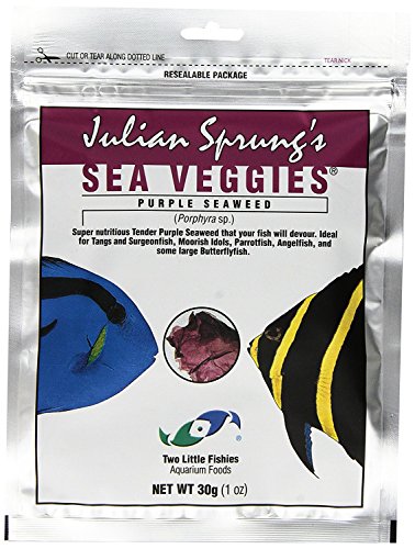 TWO LITTLE FISHIES atlsvps4 Sea Veg-Purple Seetang, 28,5 Tasche TWO LITTLE FISHIES atlsvps4 Sea Veg-Purple Seetang, 28,5 Tasche von Two Little Fishies