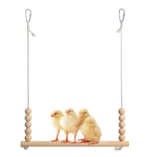 TyCylKu Hühnerschaukel, 45x38cm Hühnerschaukeln Für Den Hühnerstall, Hölzerne Hühnerschaukel Spielzeug, Stabiles Hänge-Zubehör, Robuste Sitzleiter Zum Klettern Und Ausruhen Für Geflügelhennen TyCylKu Hühnerschaukel, 45x38cm Hühnerschaukeln Für Den Hühnerstall, Hölzerne Hühnerschaukel Spielzeug, Stabiles Hänge-Zubehör, Robuste Sitzleiter Zum Klettern Und Ausruhen Für Geflügelhennen von TyCylKu