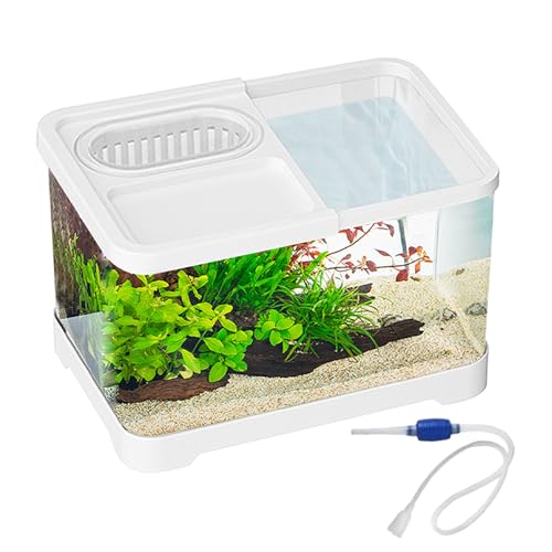 TyCylKu Kampffisch Aquarien | Kampffisch Landschaft Aquarium Komplettset | Klare Landschaftsbecken Für Guppys Schnecken Schildkröten Haustierliebhaber Anfänger Schreibtisch Wohnung TyCylKu Kampffisch Aquarien | Kampffisch Landschaft Aquarium Komplettset | Klare Landschaftsbecken Für Guppys Schnecken Schildkröten Haustierliebhaber Anfänger Schreibtisch Wohnung von TyCylKu