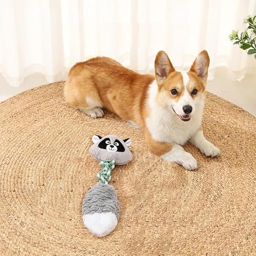 Tyasoleil Quietschspielzeug für Hunde aller Rassen, interaktives Plüschseil (Waschbär) von Tyasoleil