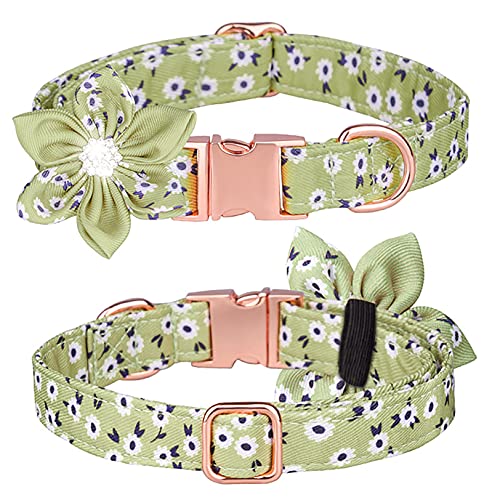 Tybiky Hundehalsband mit Schleife, Fliege Hundehalsband mit Verstellbare Halsbänder mit Softy Fliege Hundeseil (1.5m) , Geschenk für kleine mittelgroße Groß und Katzen, L, Blütenblätt Cyan von Tybiky