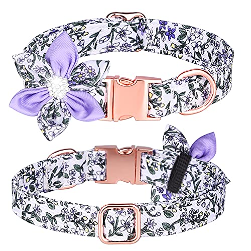Tybiky Hundehalsband mit Schleife, Fliege Hundehalsband mit Verstellbare Halsbänder mit Softy Fliege Hundeseil (1.5m) , Geschenk für kleine mittelgroße Groß und Katzen, L, Blütenblätt Lavender von Tybiky