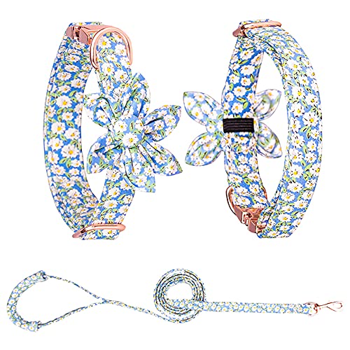 Tybiky Hundehalsband mit Schleife, Süße Hundehalsbänder Geeignet Geschenk für Kleine/Mittelgroße/Große Hunde und Katzen, Bequemes Verstellbares Halsband mit Hundeleinen, L, Blüten Blau von Tybiky