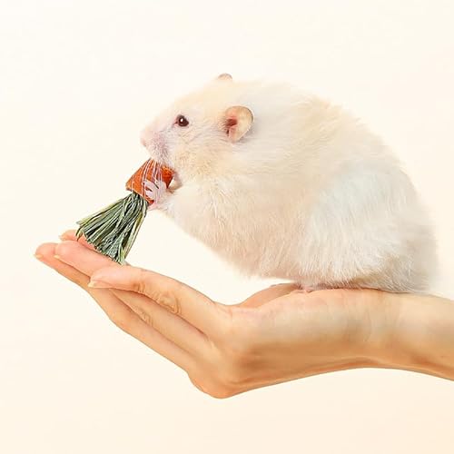 Tyenaza 3pcs Hamster Kauspielzeug, Karottenhamster -Kinderbalken lustige Zutaten Ernährung Karotte, für Hamster, Kaninchen, Meerschweinchen Tyenaza 3pcs Hamster Kauspielzeug, Karottenhamster -Kinderbalken lustige Zutaten Ernährung Karotte, für Hamster, Kaninchen, Meerschweinchen von Tyenaza