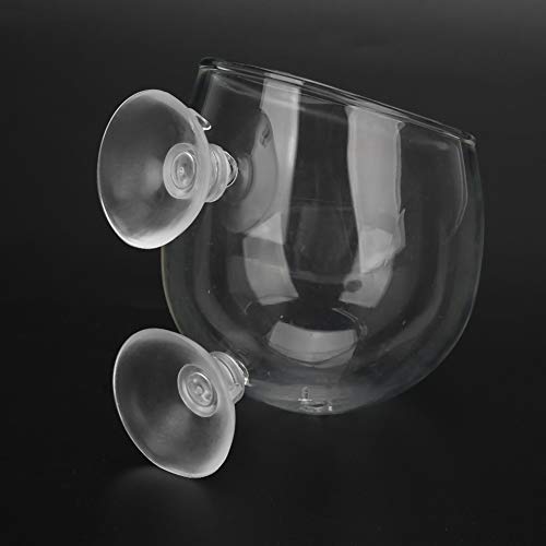 Tyenaza Aquarium-Wasserpflanzentopf, Glas, transparent, kristallklar, Aquarium, Wasserpflanze, Gras, Pflanztopf, Aquarien, Dekorationszubehör Tyenaza Aquarium-Wasserpflanzentopf, Glas, transparent, kristallklar, Aquarium, Wasserpflanze, Gras, Pflanztopf, Aquarien, Dekorationszubehör von Tyenaza