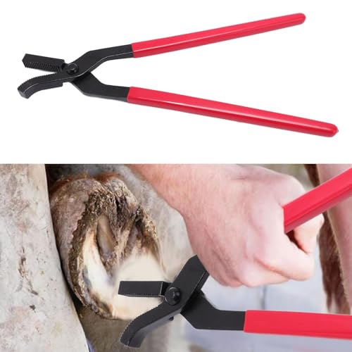 Tyenaza Horse Hoof Nipper, Horseshoe Nails Clincher, Hoof Nail Clincher Care Farrier Tool, Steel, Hoof Nippers, for Trimming Horse Hooves Tyenaza Horse Hoof Nipper, Horseshoe Nails Clincher, Hoof Nail Clincher Care Farrier Tool, Steel, Hoof Nippers, for Trimming Horse Hooves von Tyenaza