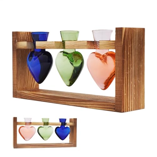 Tyinerc Anzuchtvasen für Len, Terrarien aus Glas für Pflanzen des Terrariums Heart Shape Glass Vase | Gartenbedarf, Tischpflanzer mit Holzständer, Blumenvase, von Tyinerc